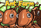 Funny Ant Farm