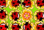 Jumping Ladybugs